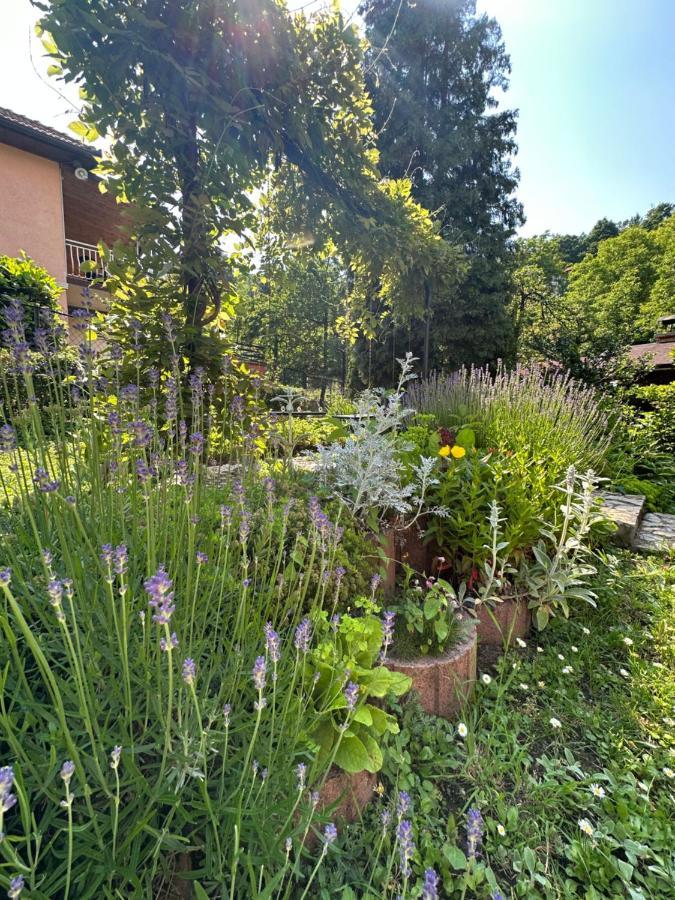 Beautiful House Overlooking Sarajevo Saraievo Exterior foto