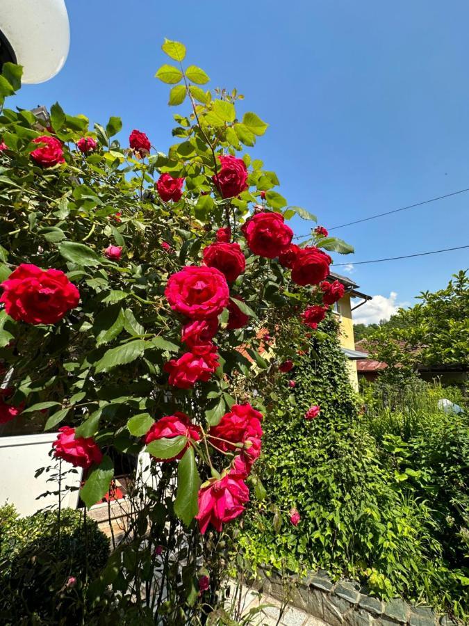 Beautiful House Overlooking Sarajevo Saraievo Exterior foto
